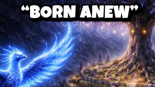 Born Anew - A Aviora Goddess Of Rebirth Song Dnd Homebrew Song