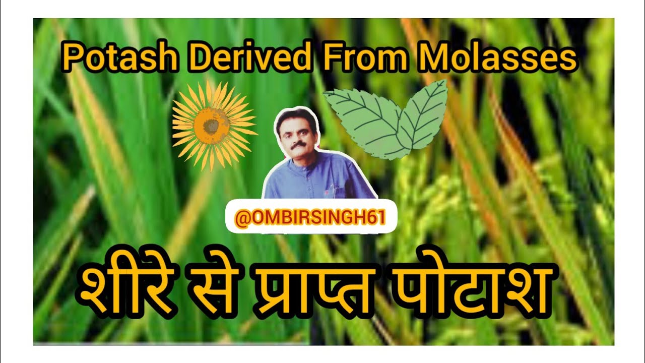 Potash Derived From Molasses, शीरे से प्राप्त पोटाश, different type of