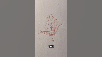 Easiest way to do arm anatomy . . . 🫡🤷‍♂️ || #art #anime #manga #naruto #shorts