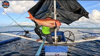 FT 2023 Vlog# 17 | Hauled a total of 14.1kg of Fish in Offshore Jigging | Fishing | Ruby Snapper |