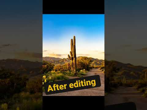 Video: Kaktus obrovský Saguaro: fotografia, rastové prostredie, zaujímavé fakty