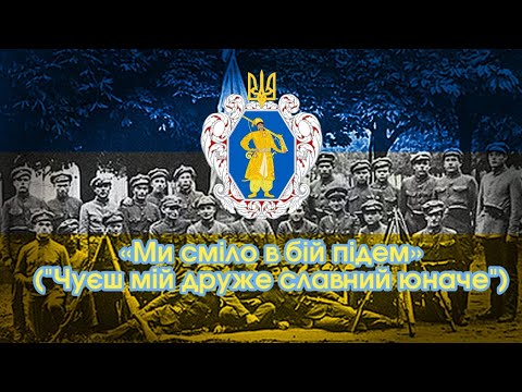 Ми сміло бій підем Чуєш мій друже славний юначе пісня часів УНР