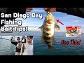 Fishing San Diego Bay | Bass & Halibut Catching Tips!