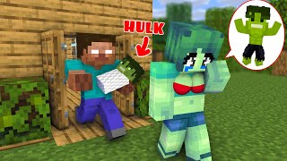 Monster School : Hulk Have a Herobrine Father and Good Mother - Sad Story - Minecraft Animation