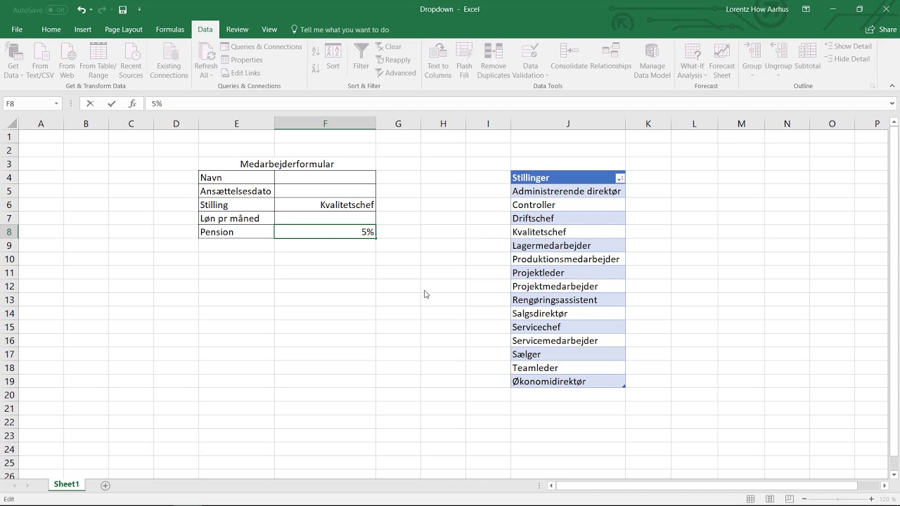 Undgå forkert indtastning i Excel - Video