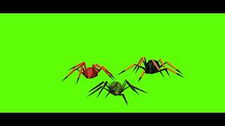 No Copyright Video Easyuse Insects Green Screen Video No Copyright