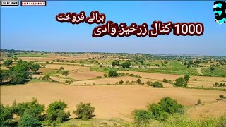 1000 Kanal Fertile valley|Land for sale|Agriculture land