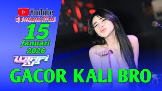 Gacor Kali Bro Dj Luthfi Ap Lagu Viral 2026 djviral 