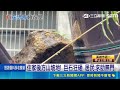 基隆巨石砸民宅!水塔扭曲變形 客廳險遭殃 1個月4次居民嘆「求助無門」 里長:相關單位互踢皮球｜三立新聞網 SETN.com