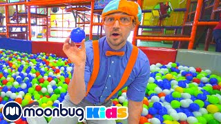 Blippi Visita um Parque Coberto (LOL Kids Club) | 1 HORA de @BlippiPortugues | Moonbug Kids