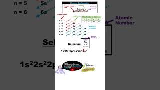 Electron Configuration for Selenium (Se)😎 This explanation is FIRE! 🔥