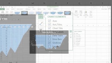 River Cross Section (Silent Movie)