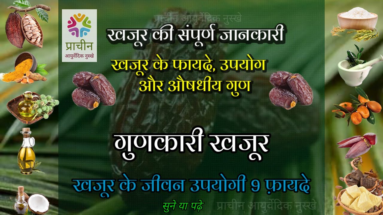 खजूर क्या है? खजूर के फायदे, उपयोग और औषधीय गुण Benefits and Uses of Dates Ayurvedic