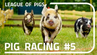 League of Pigs - Season 2 - Round 1!