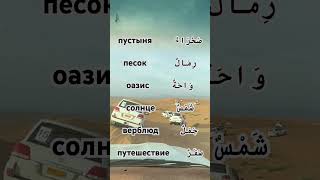 😌 #рек #учиарабский #репетитор #учимарабский #арабскийдляначинающих #арабскийонлайн #арабскийязык