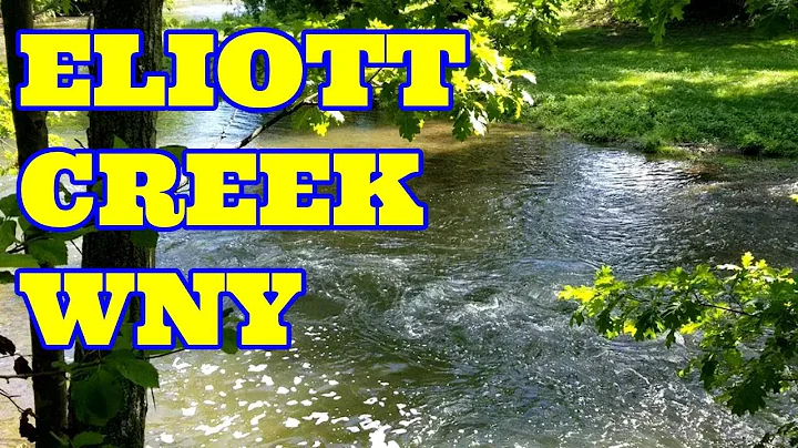 Eliott Creek in Williamsville New York