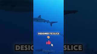 This Shark Shoots Its Jaw Like a Trap!