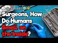 Surgeons, How Do Humans Smell on the Inside?