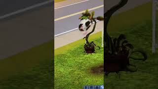 Bonehilda Cant Be Eaten