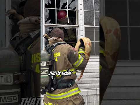 Heroes Unleashed: Firefighter Rescue Python from Burning Building