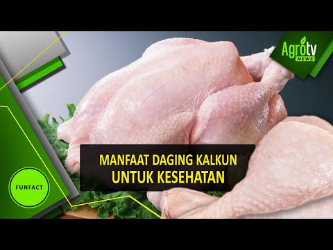 Video: Daging Kalkun: Kalori Dan Nilai Gizi