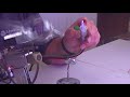 Adding a Smiths Little Torch into your Lampworking set up - Tuffnell Glass