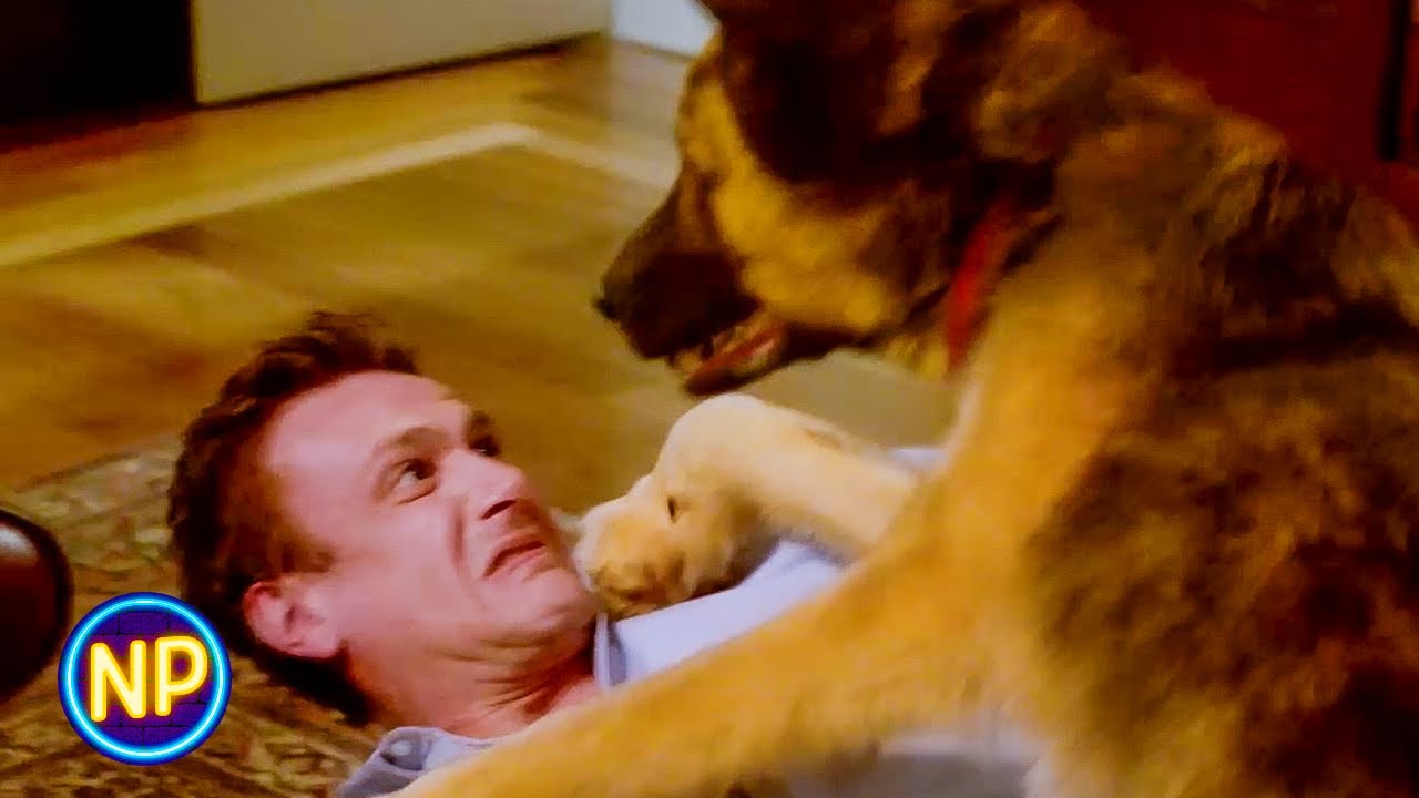 ⁣Jason Segel Fights Off a German Shepherd | Sex Tape (2014) | Now Playing
