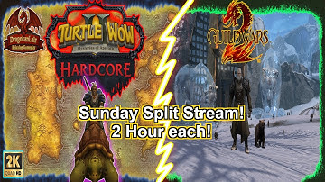 Sunday Split Stream: 2 hour Turtle WoW HC! 2 hour Guild Wars 2 ( as a new player) Relaxing gameplay!