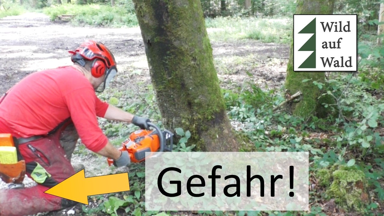 🌲PANIK! Holzfäller flüchtet vor gefährlichen Baum?  #wildaufwald