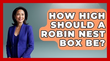 How High Should A Robin Nest Box Be? - Bird Watching Diaries