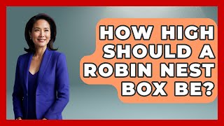 How High Should A Robin Nest Box Be? - Bird Watching Diaries