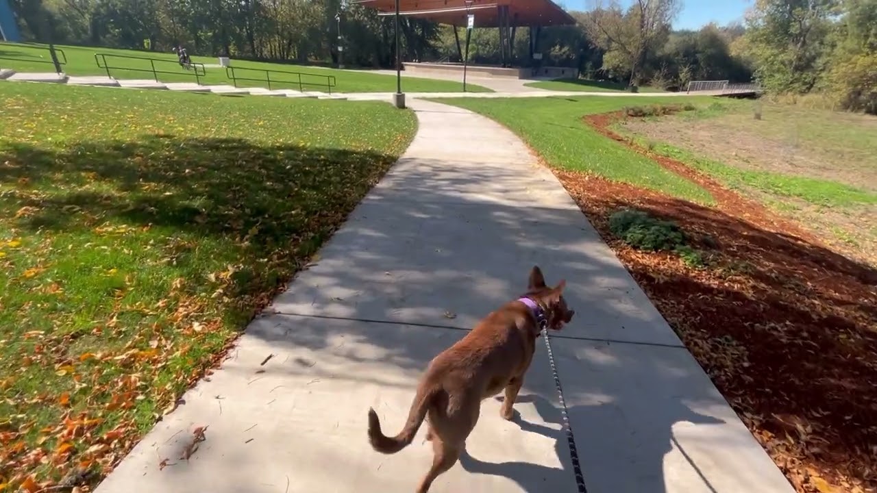 Monteith River Park, Albany Oregon