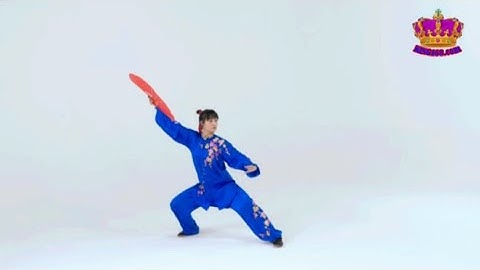 新編28式綜合太極扇 New style 28 Form Tai Chi Fan tutorial