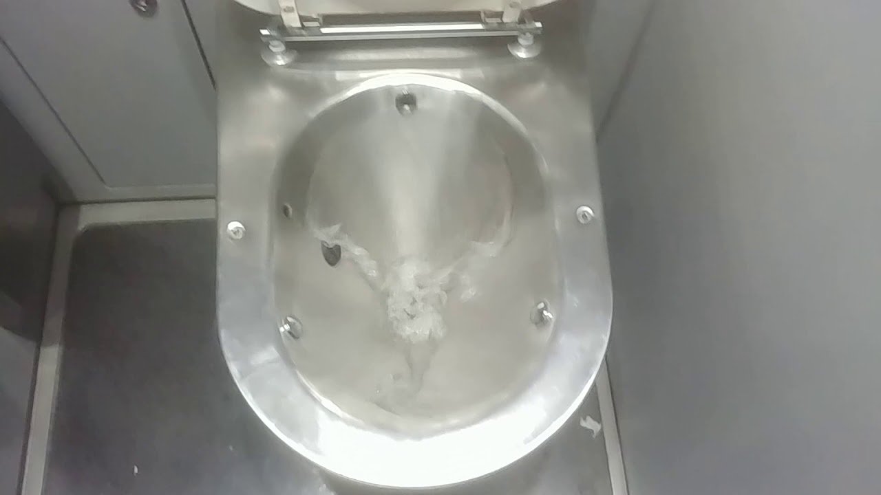 Stadler BM74/75 toilet flush