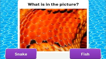 Zoom Out 3D Gameplay Trailer Part 1 Trending (Android,iOS)