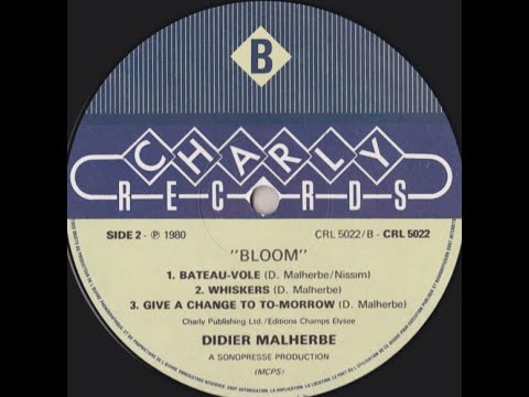 Didier Malherbe — Didier Malherbe "Bateau-vole" 1979/1980 Charly Records