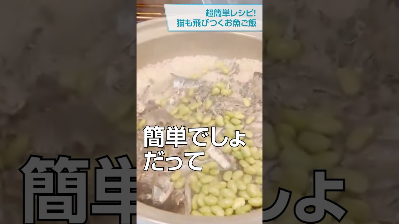 小パック130-150g】よめりんの混ぜごはんの素（レトルトスティック常温