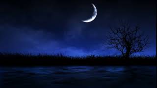 Night, moon, grass, quiet lake photography&video background screenshot 2