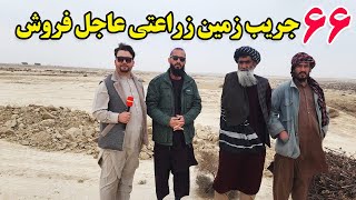 گزارش افغان تاپ:66 جریب زمین عاجل فروش،قباله شرعی،آب جوی دارد،ولسوالی بلخ ولایت بلخafghan top