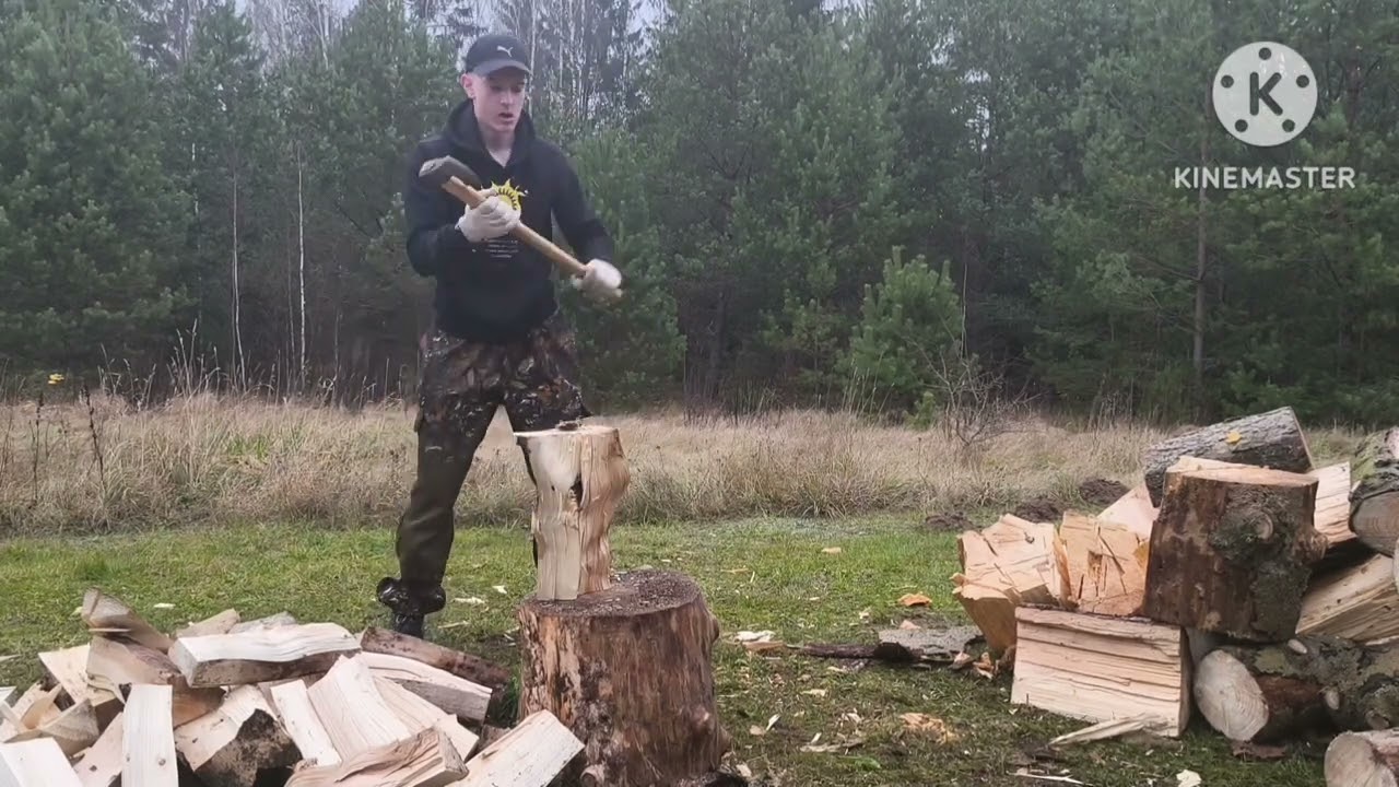 Колка сухой ёлки часть 1/Splitting dry spruce part 1