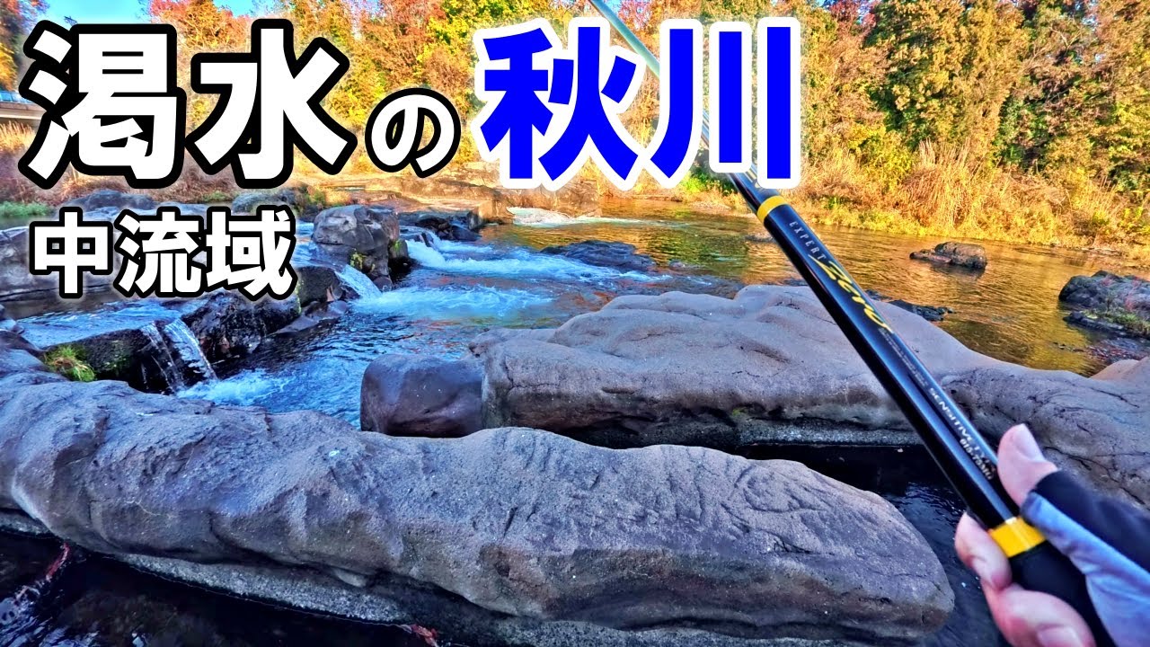 渇水の秋川にZEROで挑む！マス狙いだったのだが？