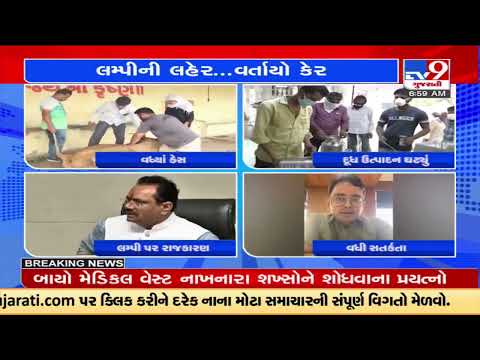 Gujarat government intensifies lumpy virus vaccination |TV9GujaratiNews