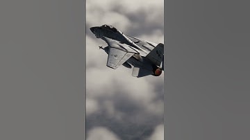 F-14 Tomcat in #shorts