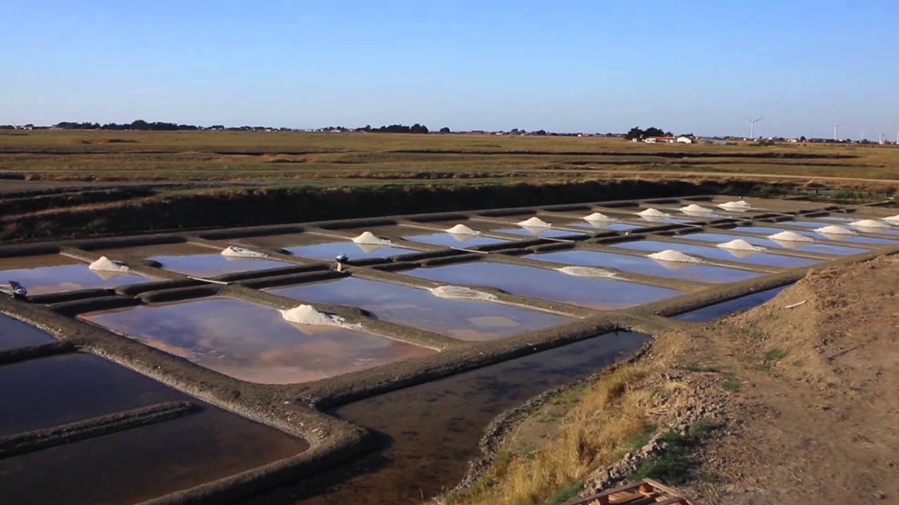 LES SAUNIERS VENDEENS La Production de Sel en Vendée