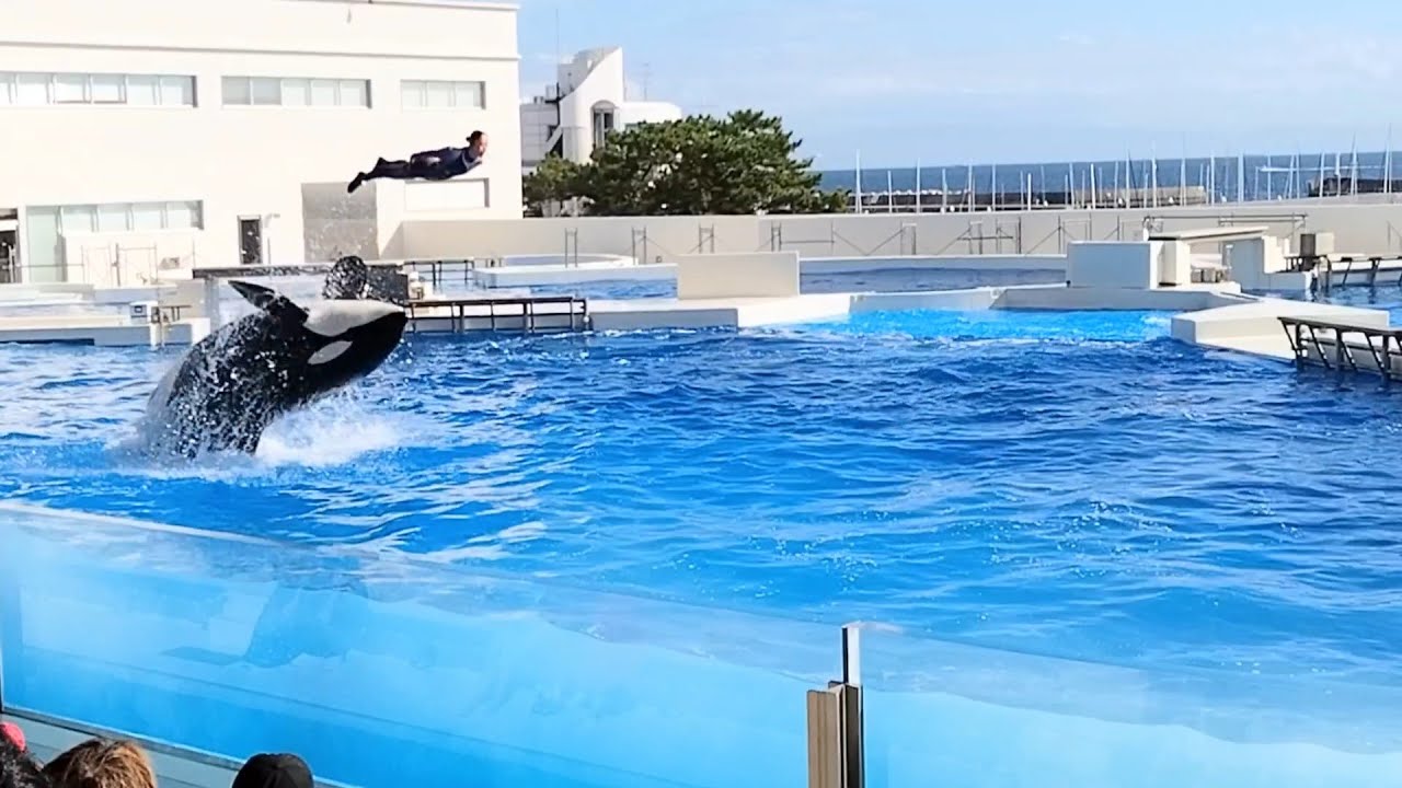 10月の須磨シー