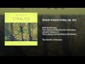 Miniature de la vidéo de la chanson Tritsch-Tratsch-Polka, Op. 214