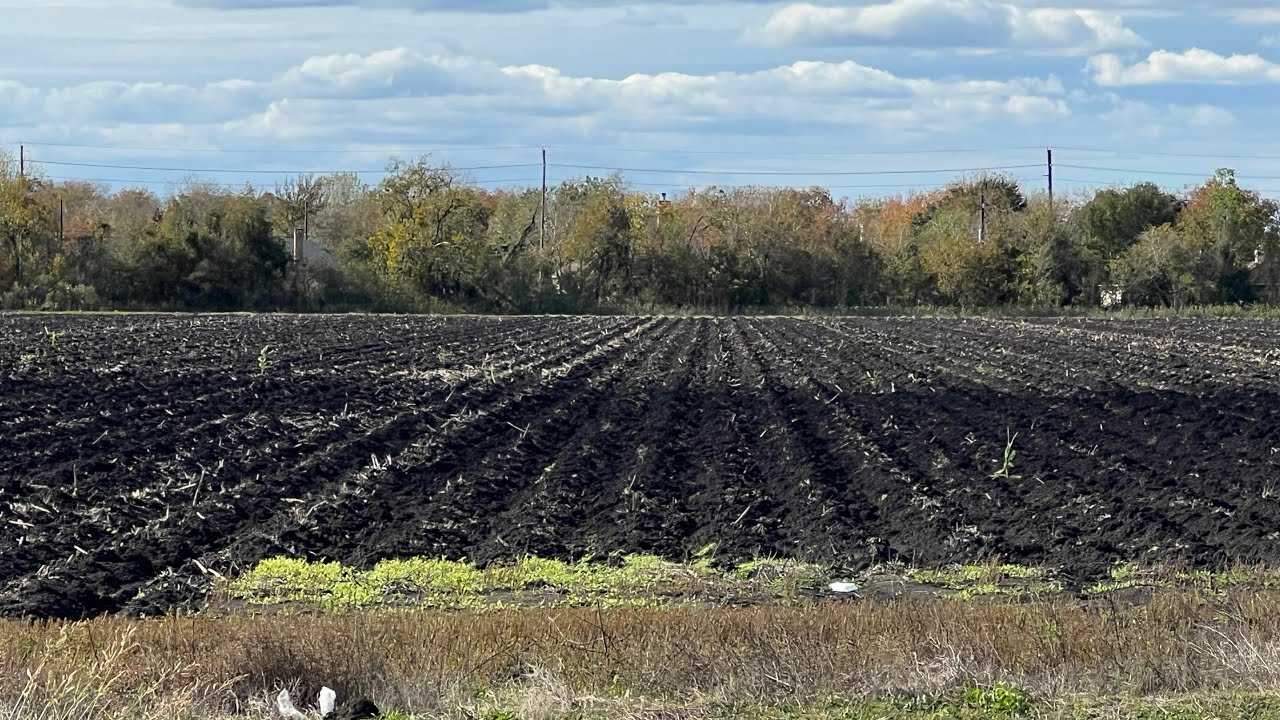 48 Acres Commercial Land For Sale Fm 762 (Crabb River Rd) & Fm 2759