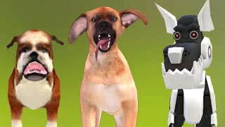 :     Dog Sim