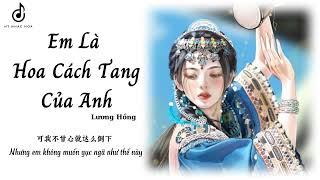 Video thumbnail of "Em Là Hoa Cách Tang Của Anh-Lương Hồng || 我是你的格桑花-梁红"