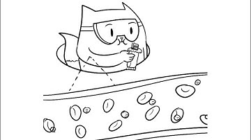 The Molecular Elements of Diabetes with Daniel Drucker, Joel Habener, and Jens Holst